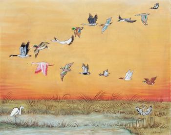 The Migratory Marsh Birds